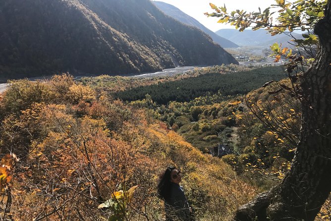 2-day Shamakhi-Gabala-Shaki Private Tour - Overnight base: what you need to plan, and how support works