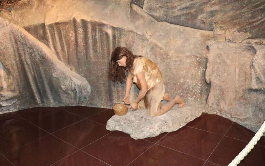 Baku: Gobustan & Absheron Trip - Mud volcanoes, natural history, and the health-mud story