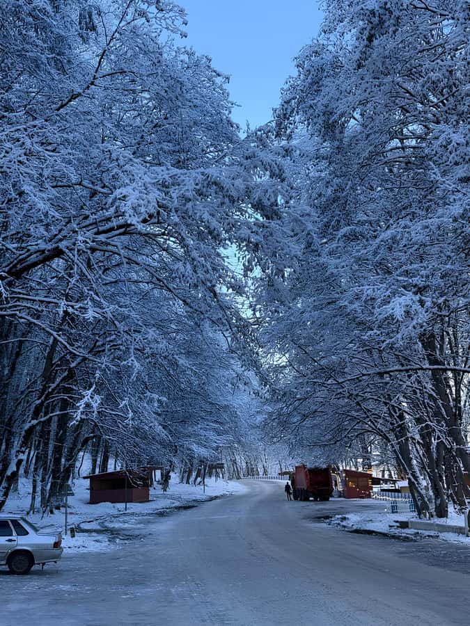 Baku: Guba, Candy Cane, and Shahdag Mountain Resort Trip - Candy Cane Mountains: The Striped Hills Stop That’s All About Photos