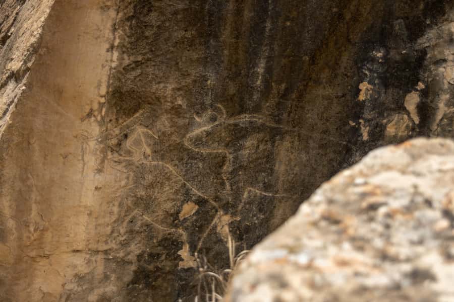 Baku: Half-Day Gobustan and Mud Volcanoes Tour with Entry - Key highlights you should care about