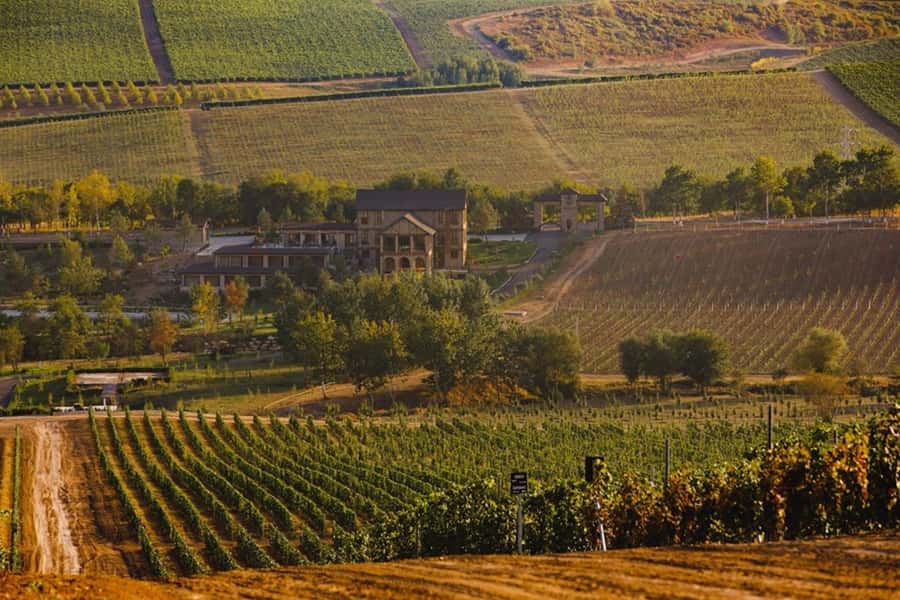 Baku: Organic Winery Tour in Shamakhi with Local Lunch - Why an organic winery day trip from Baku feels different