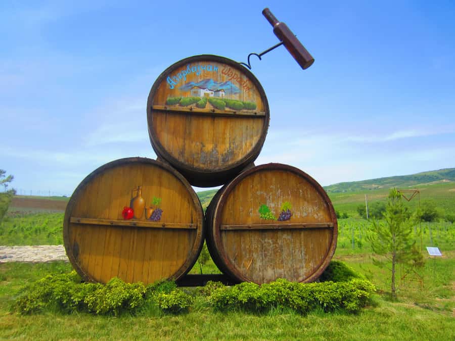 Baku: Organic Winery Tour in Shamakhi with Local Lunch - Who should book this Shamakhi organic winery tour