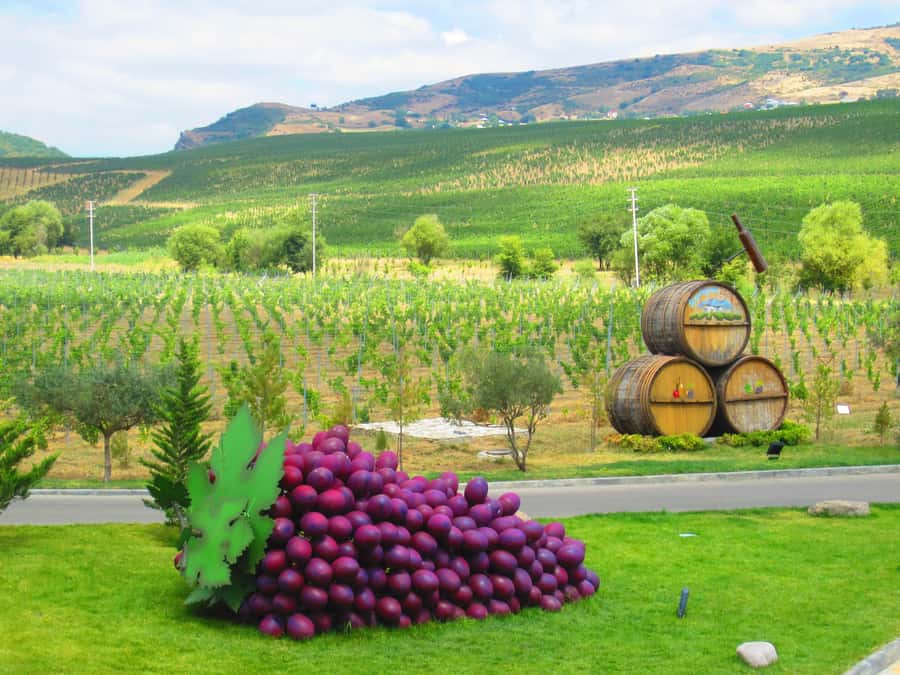 Baku: Organic Winery Tour in Shamakhi with Local Lunch - The 7-hour rhythm: pickup, drive, and time to learn