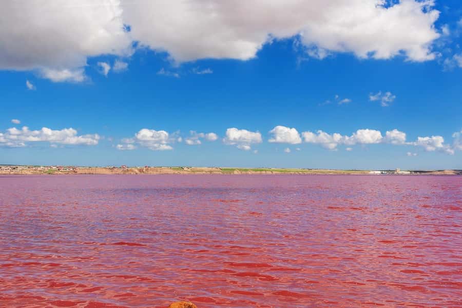 Baku: Pink Lake, Candy Cane & Beshbarmag Mountains - Key highlights worth planning for
