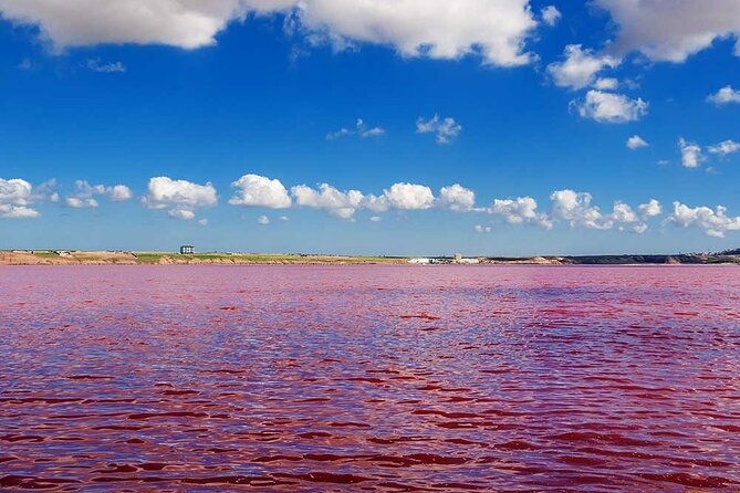 Candy Mountains, Pink Lake, Altiaghaj Forest, Bibiheybat Mosque - Pink Lake near Baku: how to manage expectations and still get great photos