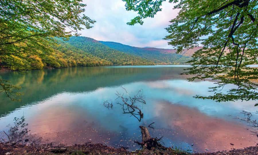 From Baku: Gabala and Shamakhi Nature Tour - Price and Value: Is $69 a Good Deal for a Full Mountain Day?