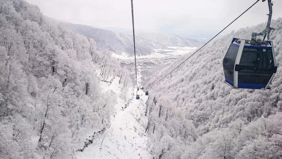 From Baku: Gabala and Shamakhi Nature Tour - Should You Book This Tour?