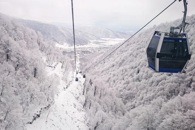 From Baku: Gabala Day Trip - Key Points Before You Go