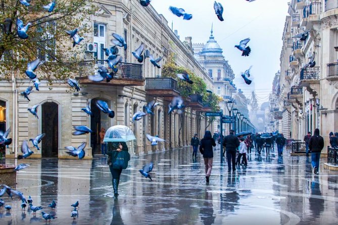 Full-day Private Baku City Tour - Pickup, meeting point, and how the day is paced