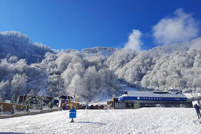 Gabala Private Tour - Why Gabala Works Best as a Private Day Trip from Baku