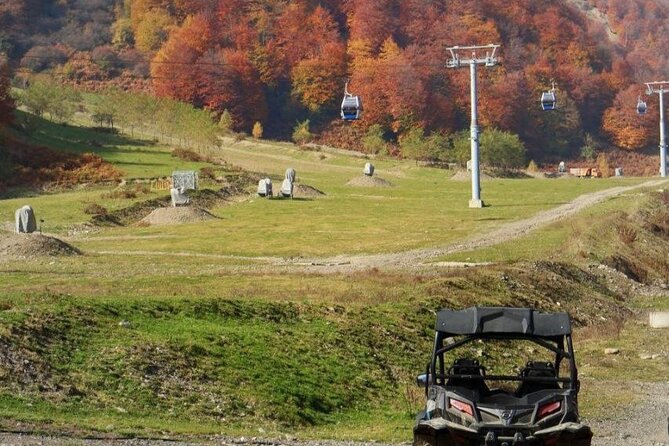 Gabala & Samakhi Tour/ All Entrance Fees Included Tour - Essenso Lavender Farm: A Seasonal Swap You Should Know