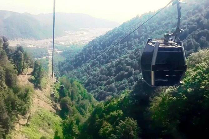 Gabala + Shamakhi tour (by Old City Tours) - Nohur Lake: Forest Quiet for a Reset Between City and Mountains
