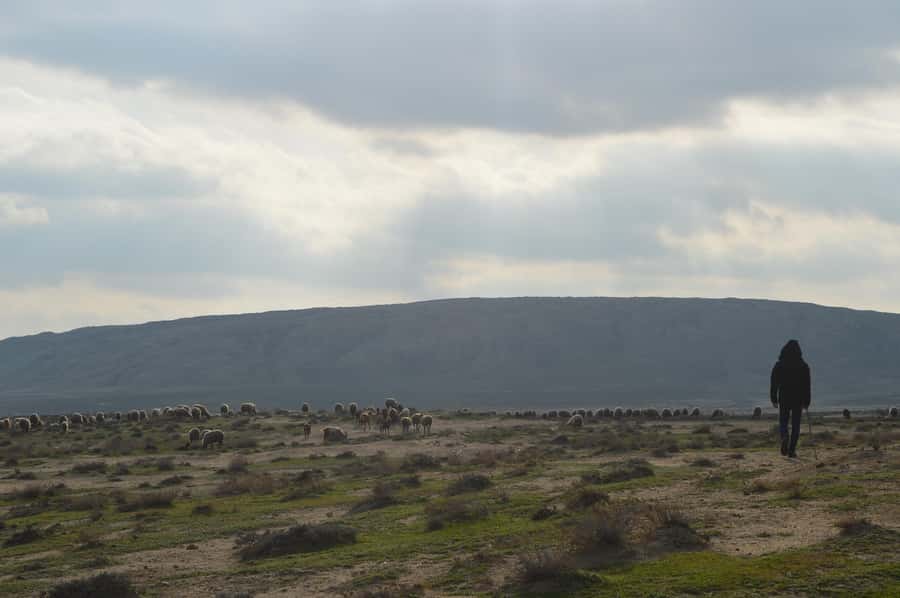 Gobustan, Mud Volcano, Burning Land and Fire Temple Tour - Gobustan Rock Art Museum: the petroglyphs make sense when someone explains them