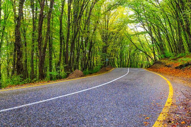 Guba Shahdag Azerbaijan Discover Nature’s Winter Wonderland - Weather and Road Reality: The Adventure Part You Must Plan For