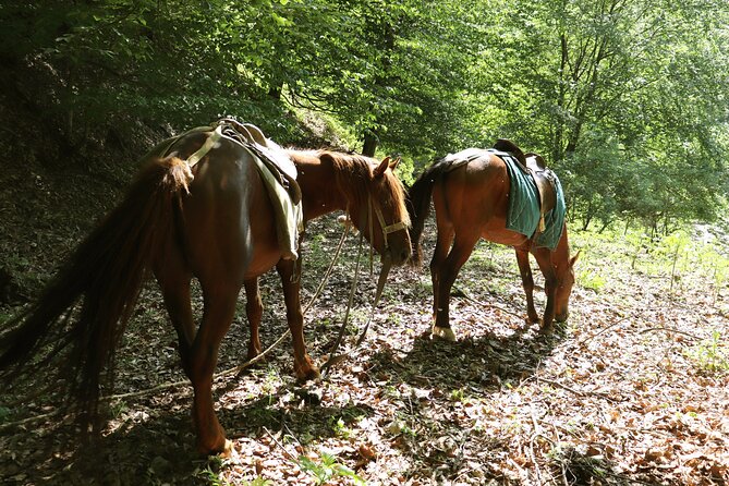 Horseback Riding in Azerbaijan - A Full-Day Escape From Baku Into the Greater Caucasus