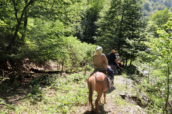 Horseback Riding in Azerbaijan - Guides, Safety, and What to Expect While You Mount Up