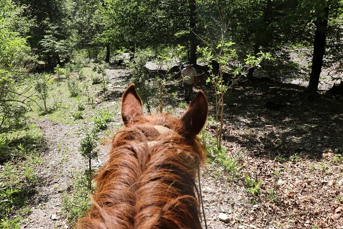 Horseback Riding in Azerbaijan - Who This Tour Suits Best (and Who Might Skip It)
