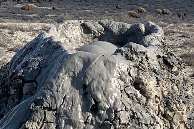Mud Volcanoes & Gobustan Private Tour - Private Vehicle, Pickup, and the True Value of a Guide