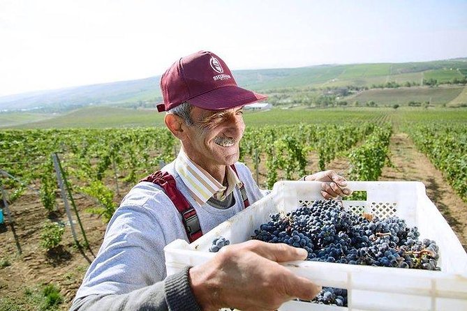 Organic Wine Tour Shamakhi with Local Lunch - How Long Does It Take, and Is It Too Much for a Single Day?