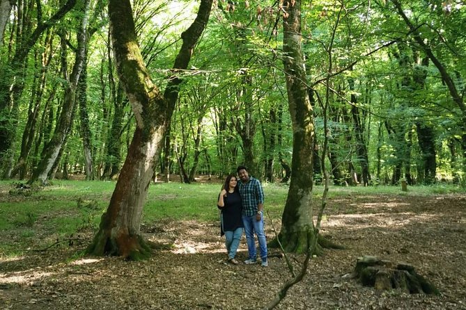 Private Gabala Tour (Full-Day Tour) - Timing, Comfort, and How the Day Feels From Start to Finish