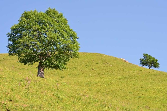 Relaxable and Knowledgeable 9 days Tour in Azerbaijan - Fortress day in the mountains: Galarsan-Gorarsan