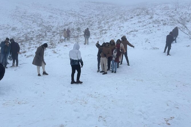 Shahdag Tour and Candy Cane Mountains tour - Price and Value: What You Get for $49, and What Costs Extra
