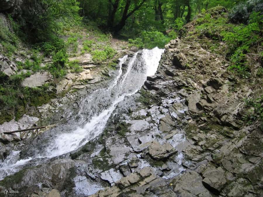 Shamakhi and Gabala Guided Day Tour - Diri-Baba Mausoleum: a focused 30-minute guided stop in Shamakhi