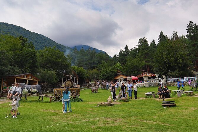 Sheki Cultural and Historical Shared Tour - What the $89 price covers, and what costs extra