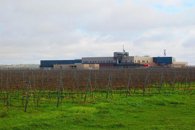Wine Tour Baku - Who you will meet, and why the guide names matter