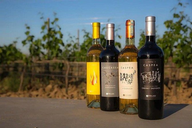 Wine Tour Baku - Practical tips to get more out of the tasting day