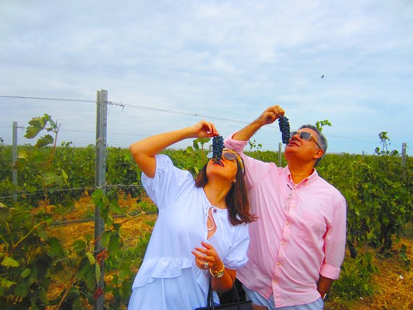 Wine Tour Baku - Vineyard walking and wine culture lessons that feel like a conversation