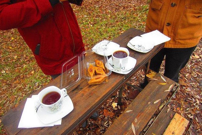 Wine Tour Qabala with Local Lunch - The food plan: lunch and snacks that keep the day comfortable