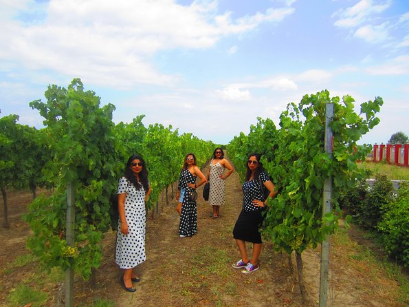 Wine Tour Qabala with Local Lunch - Price and value: what $225 gets you in a full-day wine experience